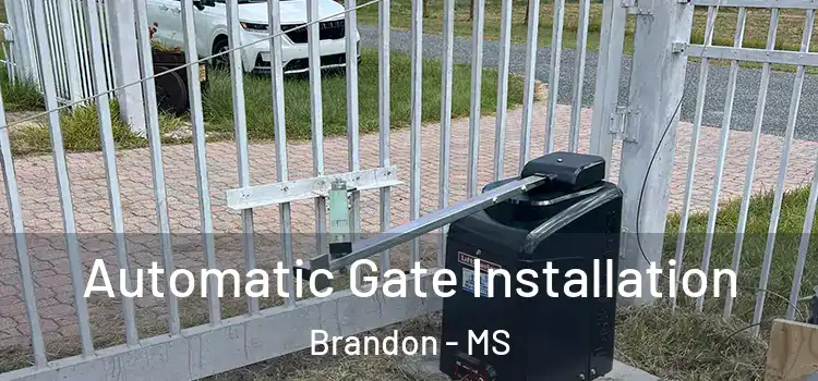 Automatic Gate Installation Brandon - MS