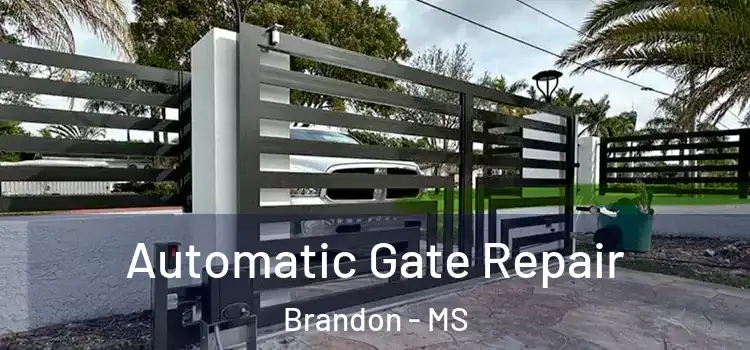 Automatic Gate Repair Brandon - MS