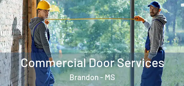 Commercial Door Services Brandon - MS