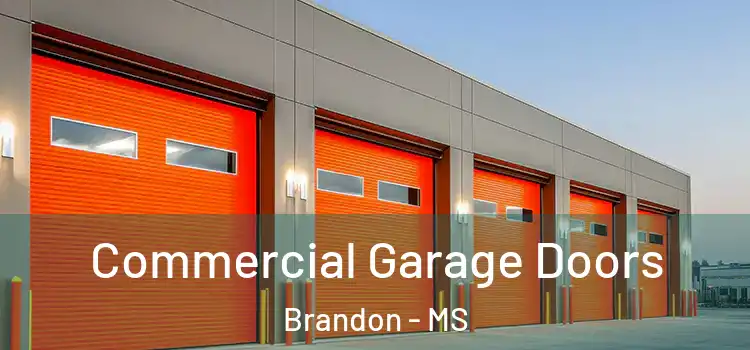  Commercial Garage Doors Brandon - MS