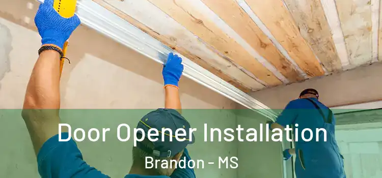  Door Opener Installation Brandon - MS