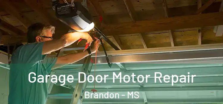 Garage Door Motor Repair Brandon - MS