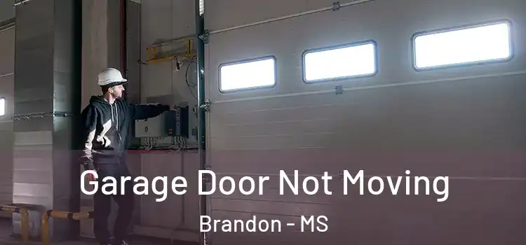  Garage Door Not Moving Brandon - MS