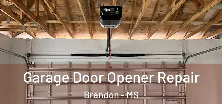  Garage Door Opener Repair Brandon - MS