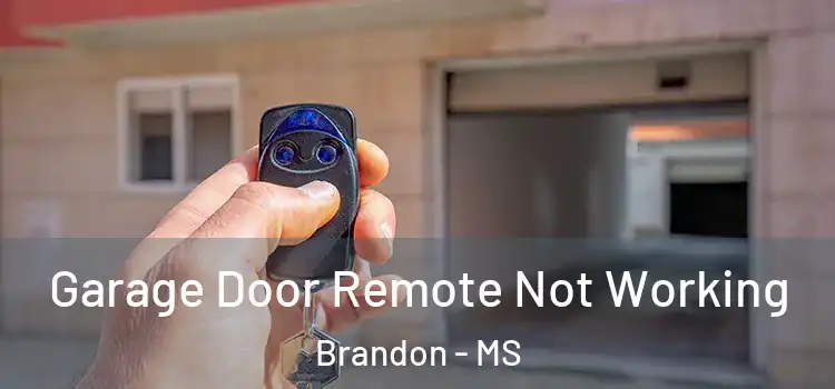  Garage Door Remote Not Working Brandon - MS