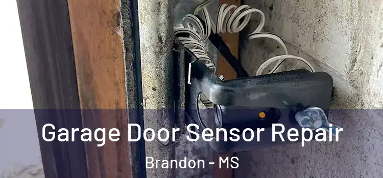 Garage Door Sensor Repair Brandon - MS