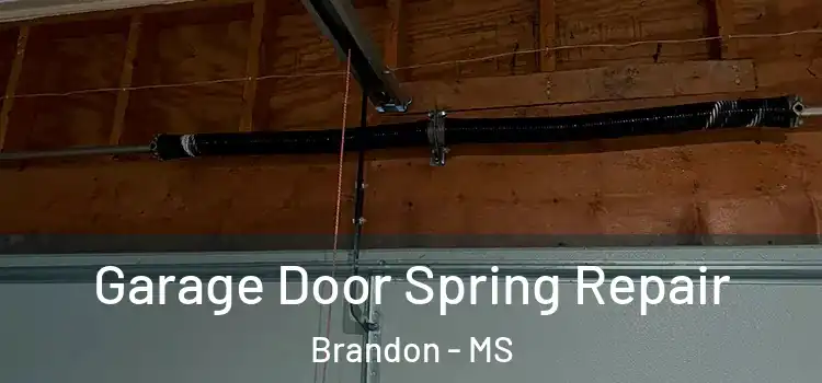  Garage Door Spring Repair Brandon - MS