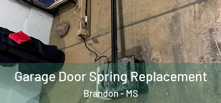  Garage Door Spring Replacement Brandon - MS