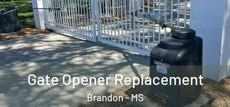 Gate Opener Replacement Brandon - MS