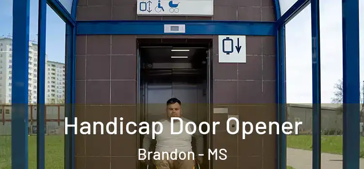  Handicap Door Opener Brandon - MS
