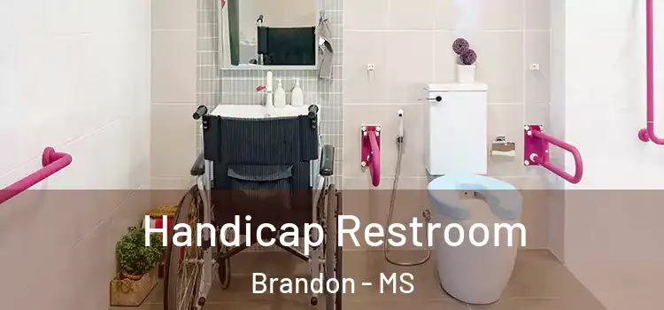  Handicap Restroom Brandon - MS