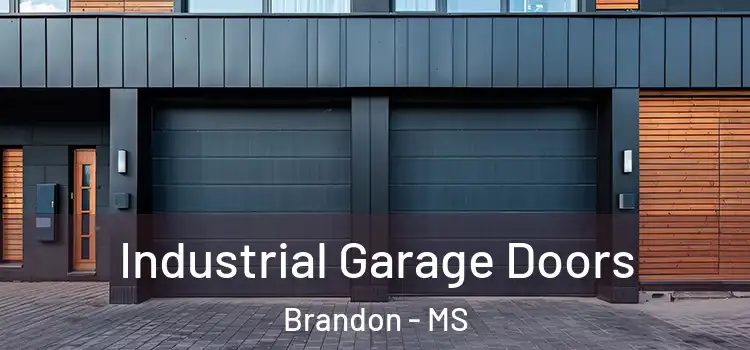  Industrial Garage Doors Brandon - MS