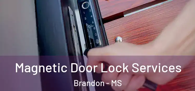 Magnetic Door Lock Services Brandon - MS