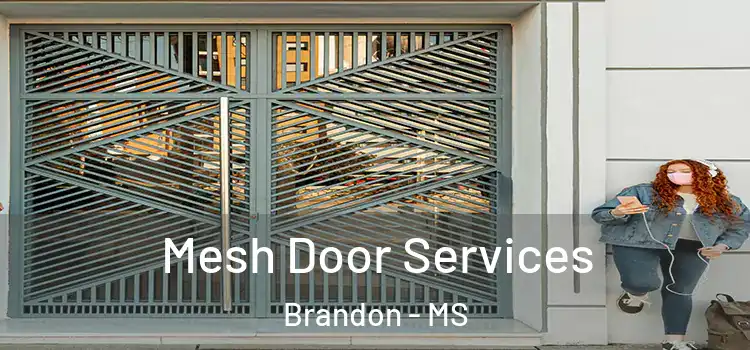 Mesh Door Services Brandon - MS