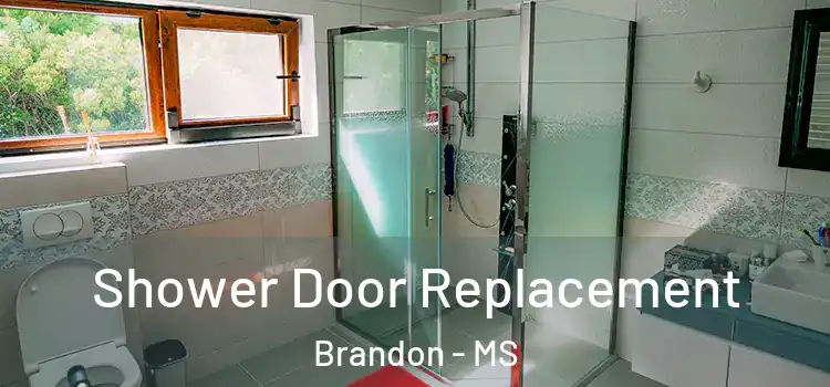 Shower Door Replacement Brandon - MS